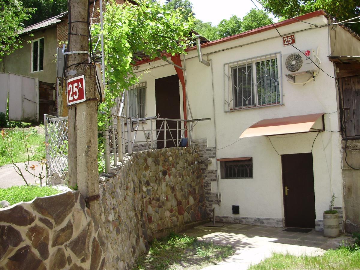 Apartment On Erekle 25A Borjomi Exterior foto